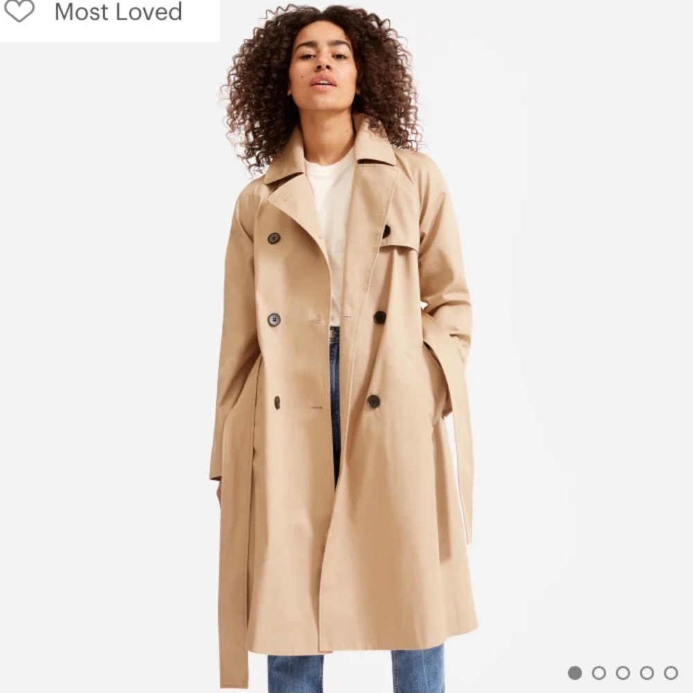 Everlane Modern Trench Coat